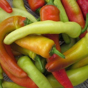 Hungarian wax Hot Pepper – Asia Seeds